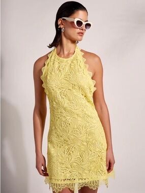 Waimari Canaria Lace Halter Mini Dress